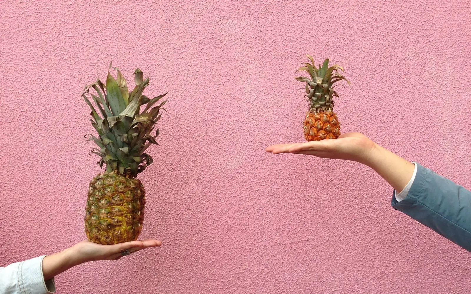 Twee uitgestoken handen voor een roze muur, de ene met een grote ananas, de andere met een kleine